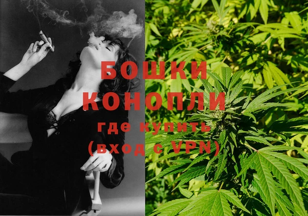spice Балахна